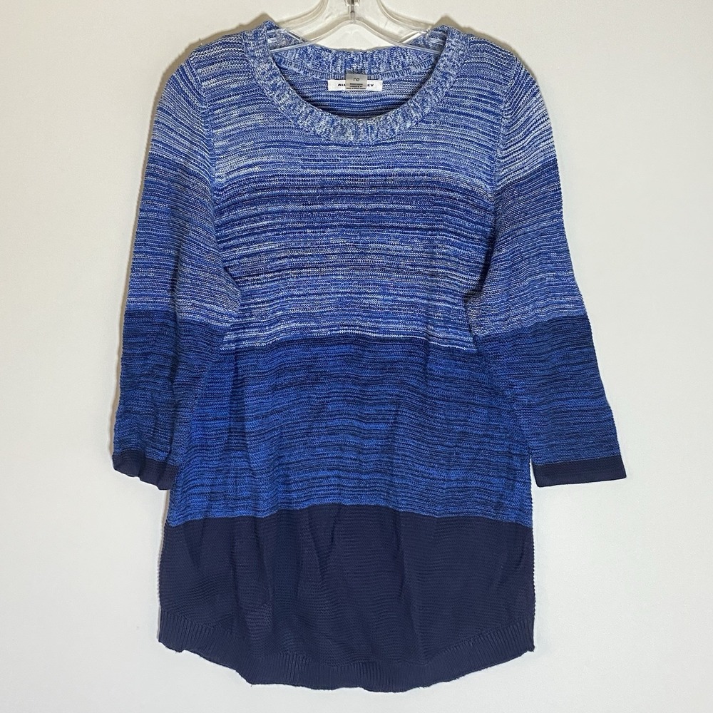 Allison Daley Sweater Womens Large Blue Color Block Striped Tunic Crewneck‎ Soft